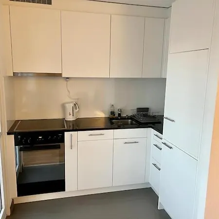 Brand New Center Downtown Apartment, Brauer - Self Checkin 公寓 苏黎世